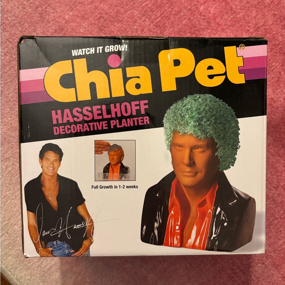 Chia Pet Hasselhoff Decorative Planter